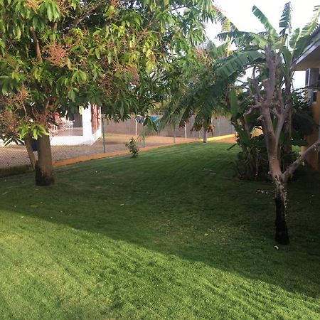 Quinta Villa ウィレムスタッド エクステリア 写真